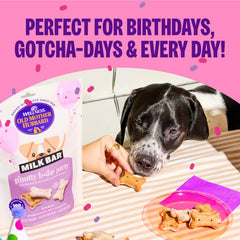 Wellness Old Mother Hubbard Milk Bar P'Nutty B-Day Party Dog Biscuits, Natural Treats, Peanut Butter Flavor with Birthday Icing, 10 oz Bag