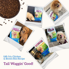 Health Extension Large Bites Chicken & Brown Rice Dry Dog Food (30 lb / 13.61 kg) - Protein-Rich Formula with Probiotics & Essential Nutrients for Larger Breeds