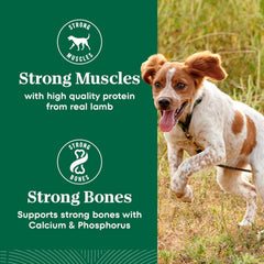 Nutro Natural Choice Small Bites Dry Dog Food, Adult Dog Food Dry Lamb and Brown Rice Recipe, 12 lbs