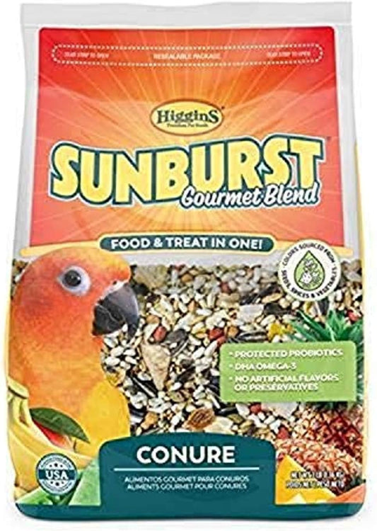 Higgins Sunburst Conure 3 lb