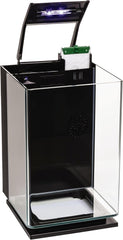 GloFish Aquarium Kit Fish Tank with LED Lighting and Filtration Included