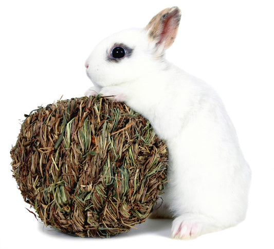 Woven Grass Play Ball