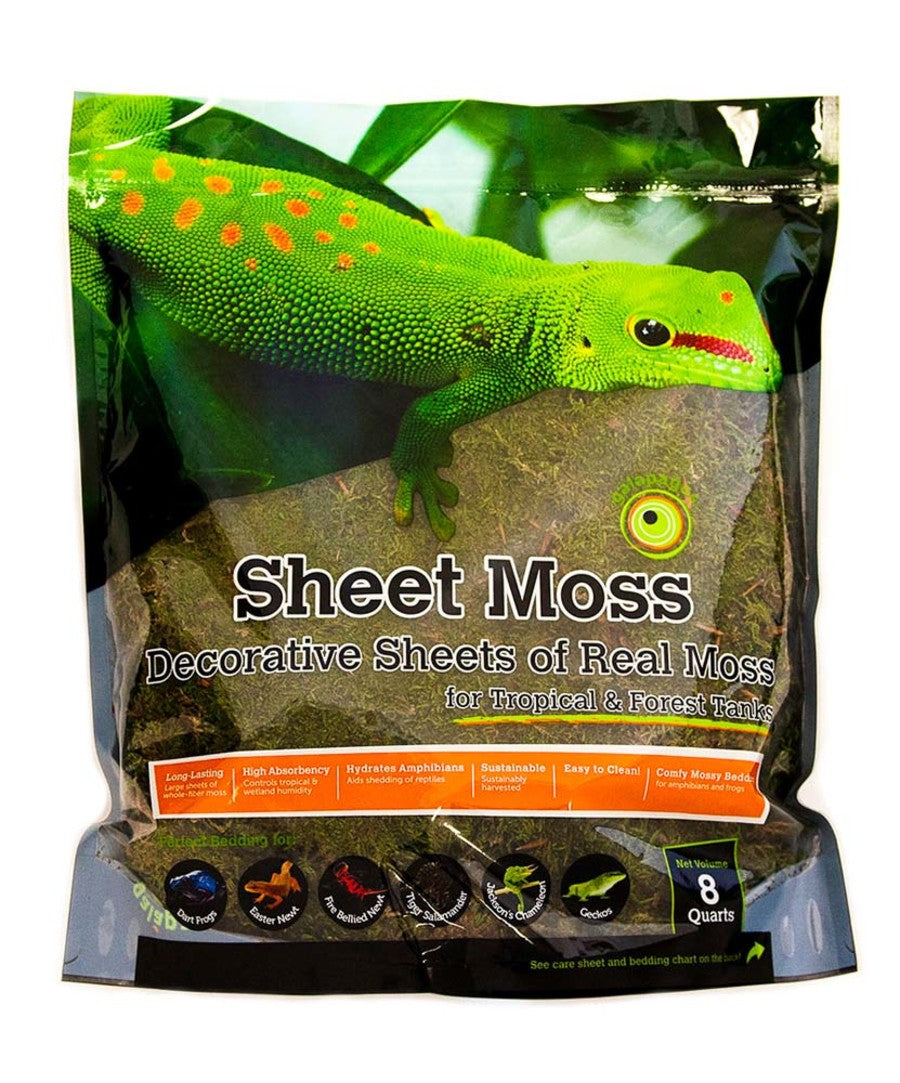 Galápagos (05248) Sheets of Real Moss, Natural,Green