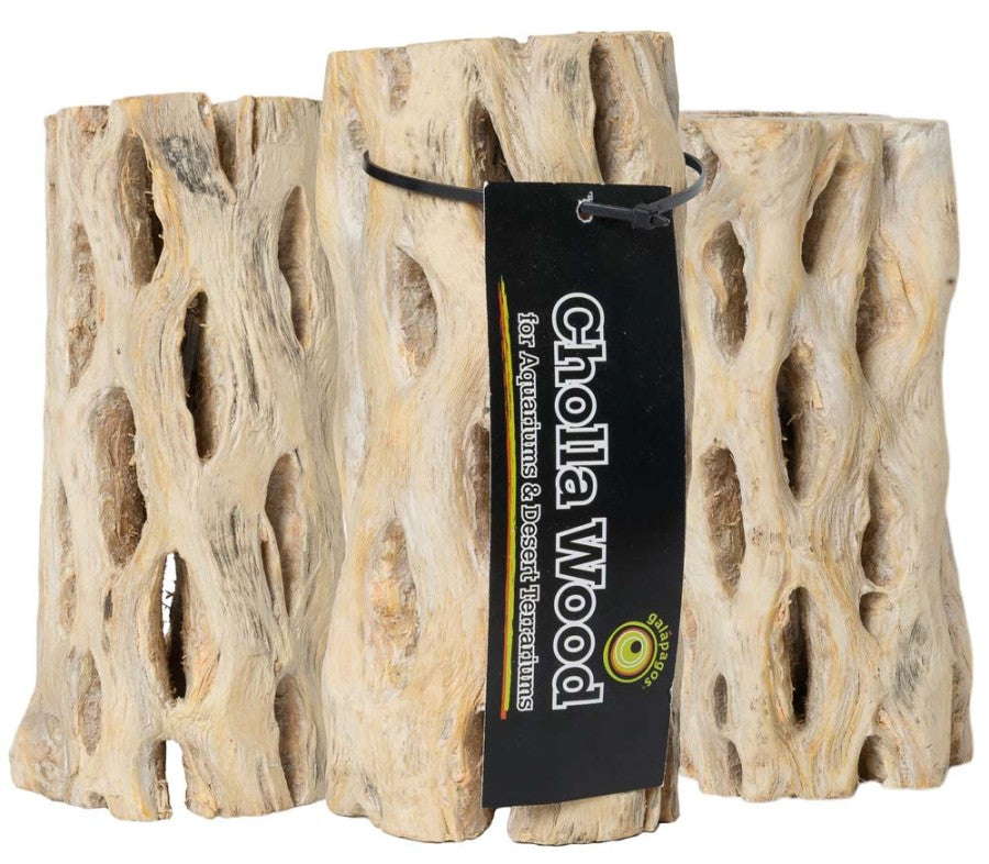 Galápagos (05271) Cholla Wood - Natural Aquarium & Terrarium Decoration for Fish Tanks, Reptile Tanks, and Bird Perches, Natural