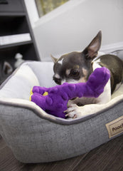 goDog Just For Me Bruto with Chew Guard Technology Plush Dog Toy, Purple