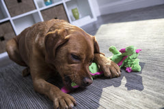 goDog Bubble Plush Skinny Dragons Squeaky Plush Dog Toy, Chew Guard Technology - Green
