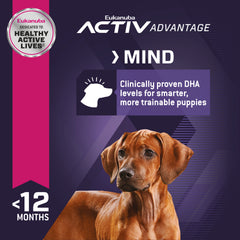 Eukanuba™ Puppy Large Breed Dry Dog Food, 4.5 lb