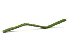 Galápagos Flexible Bridge Terrarium Ornament, Green