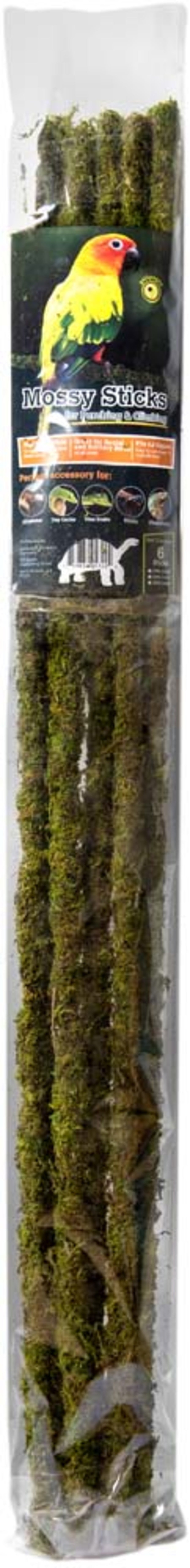 Galápagos Mossy Terrarium Sticks