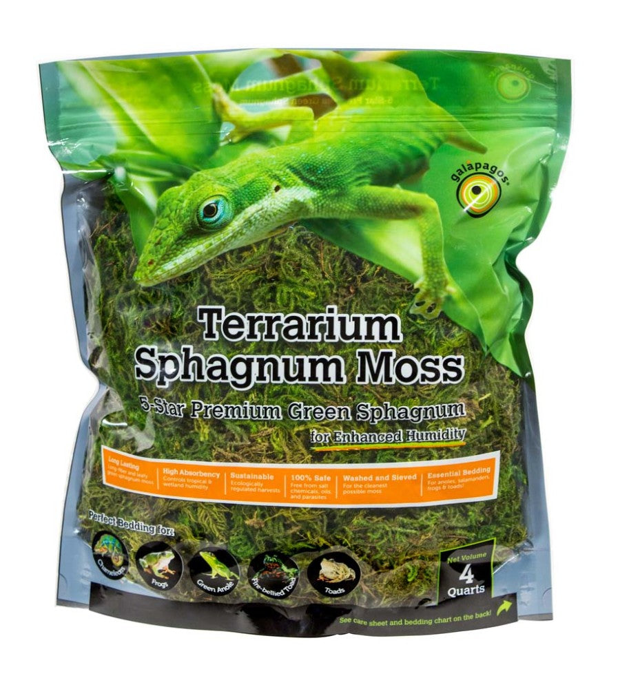 Galápagos (05213) Terrarium Green Sphagnum Moss, Natural