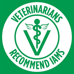 Iams Proactive Health Minichunks with Chicken & Whole Grain Recipe Adult Dry Dog Food