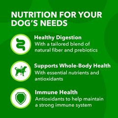 IAMS Minichunks Adult Dry Dog Food Lamb & Rice Recipe Dog Kibble