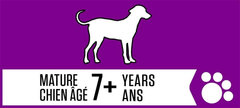 Iams Proactive Health Mature Adult Dry Dog Food