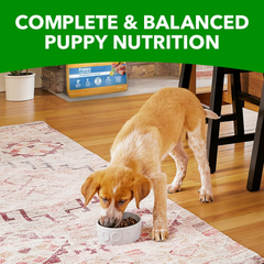 IAMS Smart Puppy Large Breed Dry Dog Food with Real Chicken