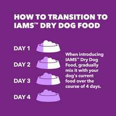 Iams Advanced Health Adult Healthy Digestion Dry Dog Food with Real Chicken