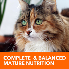 IAMS PROACTIVE HEALTH Healthy Senior Dry Cat Food with Chicken Cat Kibble