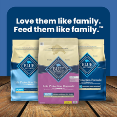 Blue Buffalo Life Protection Formula Adult Small Breed Dry Dog Food, Supports High Energy Needs, Made with Natural Ingredients, Chicken & Brown Rice Recipe