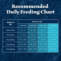 Blue Buffalo Wilderness Puppy High Protein Dry Dog Food With Real Chicken Plus Wholesome Grains, Made in the USA with Natural Ingredients, Chicken