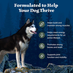 Blue Buffalo Wilderness Natural High-Protein Dry Food for Adult Dogs, with Wholesome Grains, Duck
