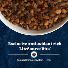 Blue Buffalo Wilderness Natural High-Protein Dry Food for Adult Dogs, with Wholesome Grains, Duck