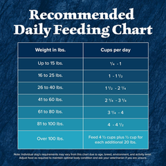 Blue Buffalo Wilderness Natural High-Protein Dry Food for Adult Dogs, with Wholesome Grains, Duck