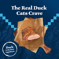 Blue Buffalo Wilderness Nature's Evolutionary Diet High-Protein, Grain-Free Natural Dry Food for Adult Cats, Duck