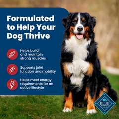 Blue Buffalo Life Protection Formula Adult Dry Dog Food, Helps Build and Maintain Strong Muscles, Made with Natural Ingredients, Beef & Brown Rice Recipe