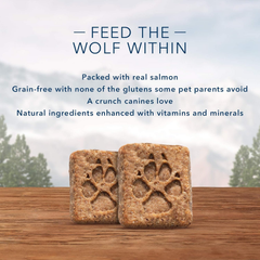 Blue Buffalo Wilderness Trail Treat Biscuits, Salmon