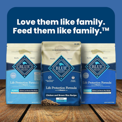 Blue Buffalo Life Protection Formula Healthy Weight Large Breed Adult Dry Dog Food for Weight Control, Made with Natural Ingredients, Chicken & Brown Rice Recipe