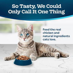 Blue Buffalo Tastefuls Hairball Control Natural Adult Dry Cat Food, Chicken