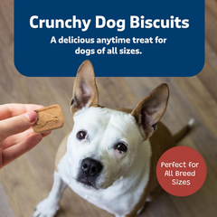 Blue Buffalo Health Bars Crunchy Dog Biscuits, Oven-Baked With Natural Ingredients, Beef