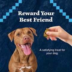 Blue Buffalo Wilderness Wild Bits Soft & Chewy Training Treats for Dogs, Grain-Free, Salmon Recipe