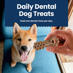 Blue Buffalo Dental Chews Small Natural Dog Treats, Chicken & Spearmint