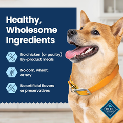 Blue Buffalo Medium Dental Chews for Dogs, Daily Dental Care Dog Treats Made in the USA with Natural Ingredients, Chicken & Spearmint