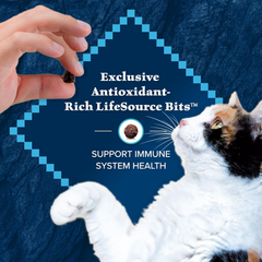 Blue Buffalo Wilderness Natural Hairball Care Dry Cat Food for Indoor Cats, High-Protein & Grain-Free Formula, Chicken