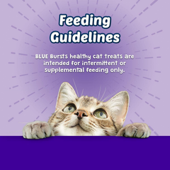 Blue Buffalo Bursts Feline Chicken Liver and Beef Flavour Cat Treats