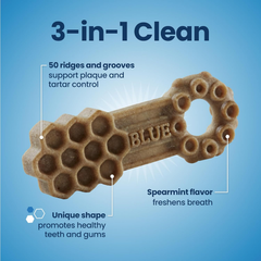 Blue Buffalo Dental Chews Large Natural Dog Treats, Chicken & Spearmint