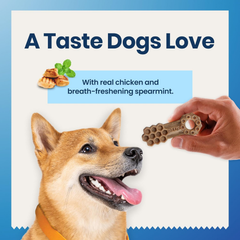 Blue Buffalo Dental Chews Large Natural Dog Treats, Chicken & Spearmint
