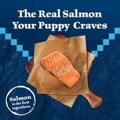 Blue Buffalo Wilderness High-Protein Natural Dry Food for Puppies, Salmon Recipe