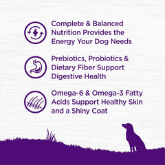 Wellness Complete Health Dry Dog Food, Wholesome Grains, Natural, Chicken & Oatmeal Recipe