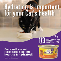 Wellness Complete Health Pate Adult Wet Cat Food, Natural, Protein-Rich, Grain Free