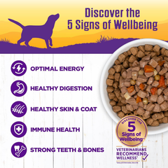 Wellness Complete Health Thick & Chunky Natural Grain Free Canned Wet Dog Food, Beef Stew