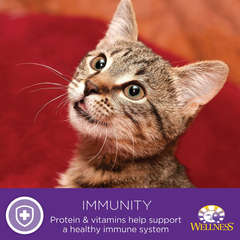 Wellness Complete Health Grain Free Turkey & Salmon Natural Wet Canned Cat Food