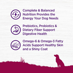 Wellness Complete Health Small Breed Adult Dry Dog Food with Grains and Real Turkey, Natural Ingredients, Omega Fatty Acids, and Probiotics, Made in USA