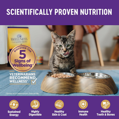 Wellness Complete Health Pate Kitten Wet Cat Food, Natural, Protein-Rich, Grain Free