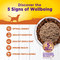 Wellness Complete Health Natural Wet Canned Dog Food Turkey & Sweet Potato