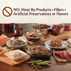 Wellness CORE Signature Selects Shredded Adult Wet Cat Food, Natural, Protein-Rich, Grain Free (Chicken & Turkey)