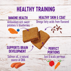 Wellness Puppy Treats, Natural, Training Treat, Grain Free, Soft Lamb & Salmon
