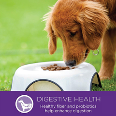 Wellness Complete Health Senior Dry Dog Food, Small Breed, Wholesome Grains, Natural, Age Advantage Turkey & Peas Recipe