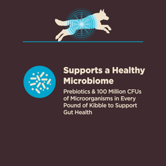 Wellness CORE Digestive Health Dry Dog Food, Wholesome Grains, Natural, Ingredients for Dogs with Sensitive Stomachs, Whitefish & Brown Rice Recipe